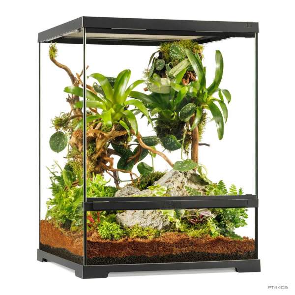 Pro Terrarium